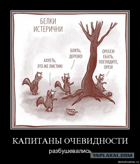 "Эволюция" или деградация?