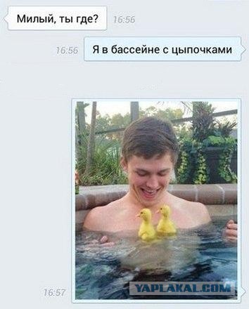 Смешные комментарии из социальных сетей