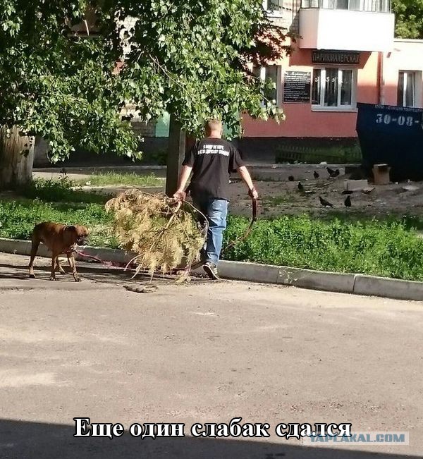 Прикольные картинки из сети