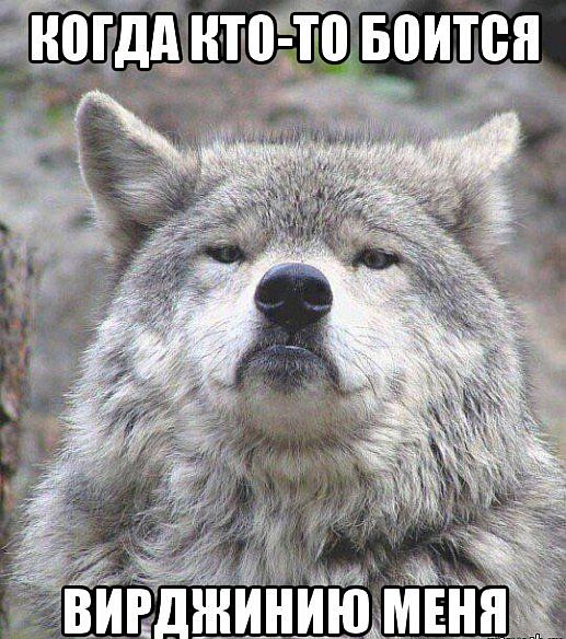 Придет серенький волчок