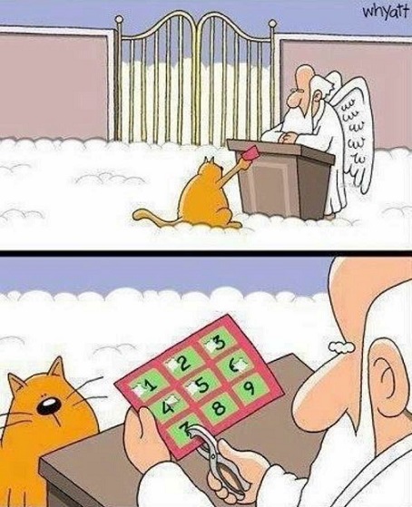 Немного демотиваторов