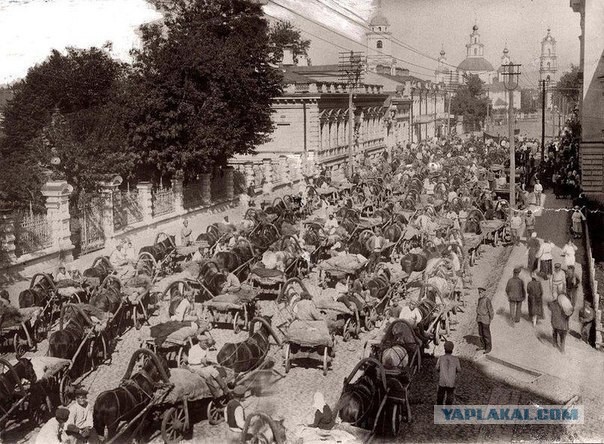 Подборка редких фотографий со всего мира