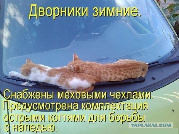 Автоюмор, смекалка, но чаще абсурд