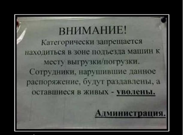 Забавные картинки из Сети