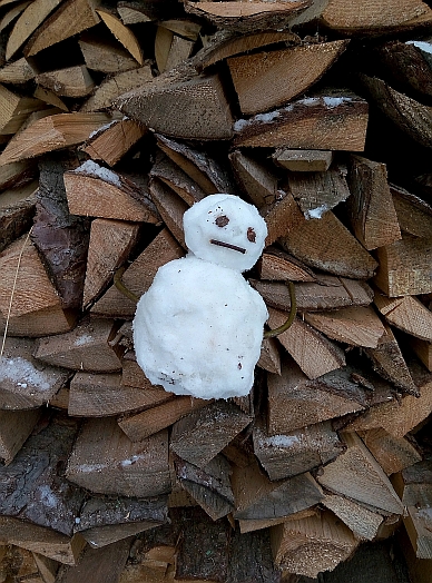 Слепили такого снеговика дети во дворе...