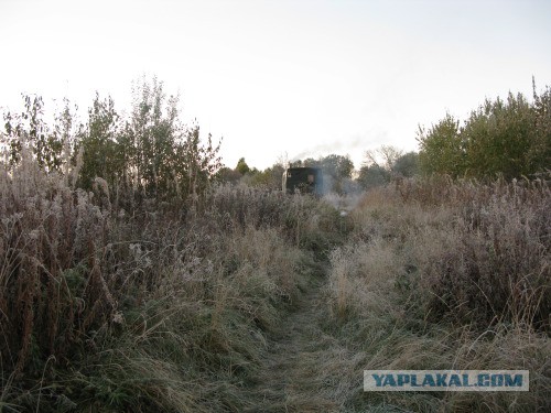 Веппский край, Южная тайга