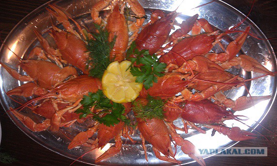 Раки