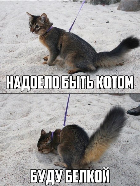 Свежая подборка картинок