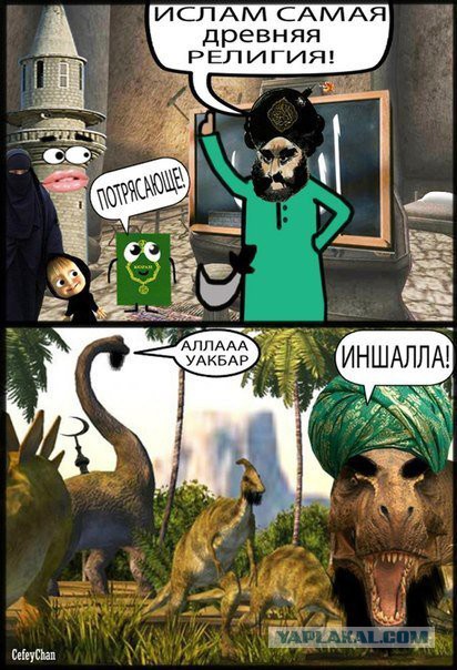 В Госдуме посоветовали модели не упоминать, что она из Дагестана