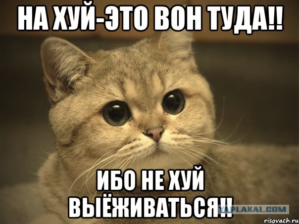 Украинка потребовала уволить педагога московского детсада