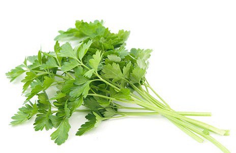 Бюджетная дача своими руками