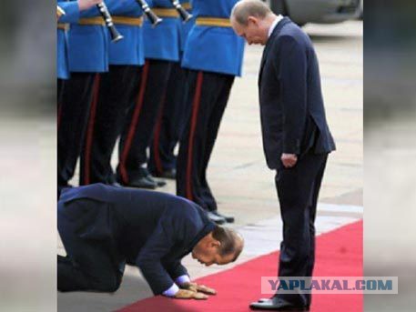 Президент Турции извинился перед Путиным за сбитый Су-24