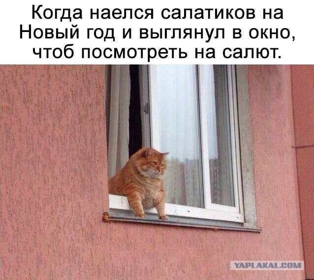 Смешные комментарии и картинки на новогоднюю и околоновогоднюю тематику