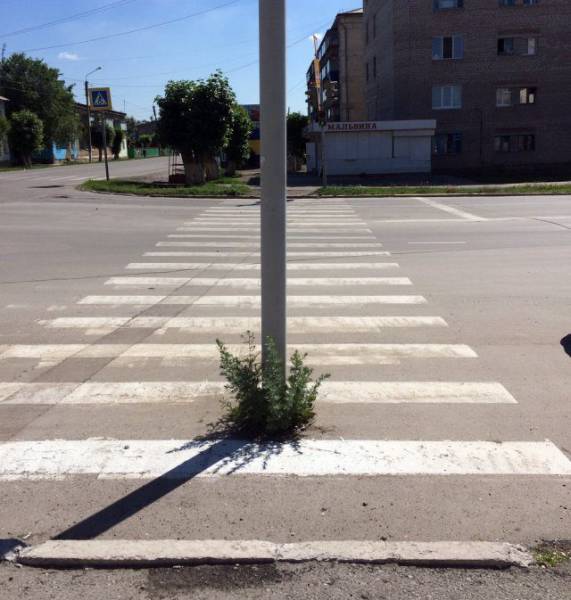 Подборка безудержного веселья
