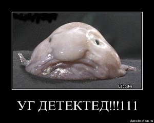 8 августа в 0:08