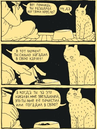 Подборка интересных и веселых картинок