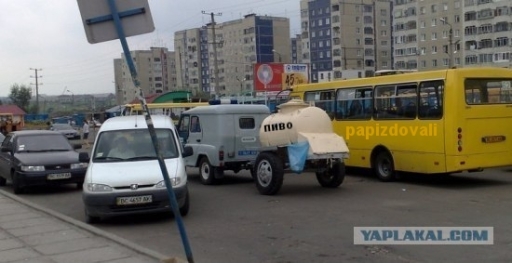 Жара, пить хочется всем!