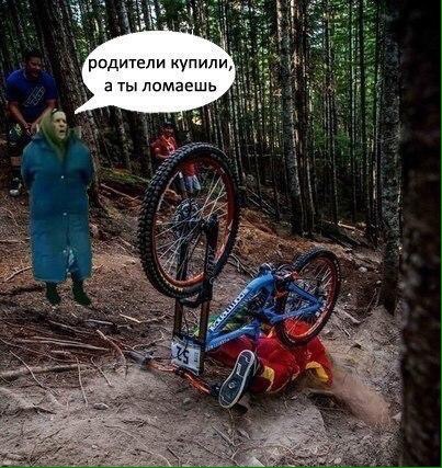 Скотсети и прочие интернеты 13.06.18