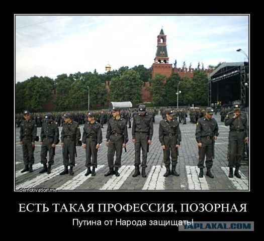 «Будете валяться мертвыми»: Офицер, избивший женщину в Красноярском крае, отстранен от службы