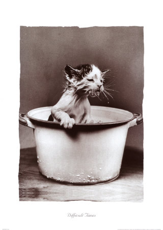 Котовторник