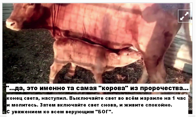 В Израиле появился предвестник конца света