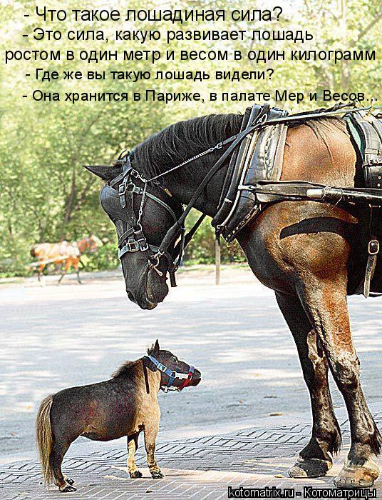 Конек - горбунек.