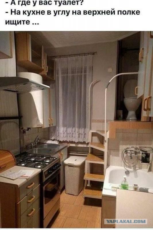 Анекдоты, соц-сети и картинки с надписями