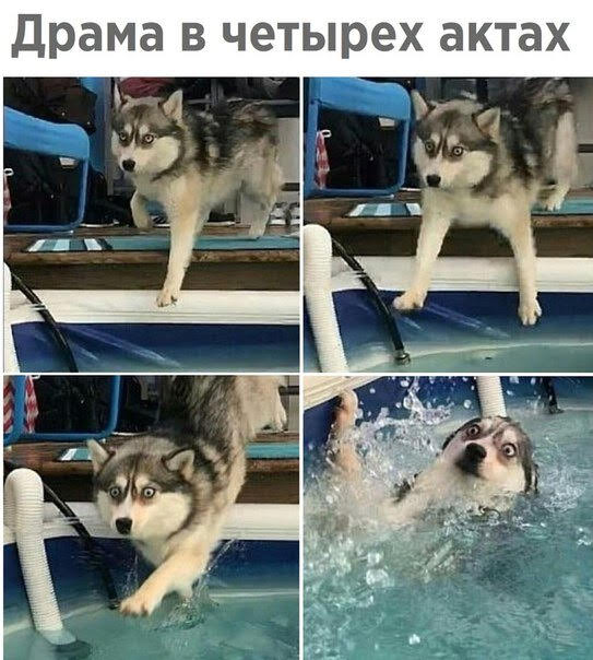 Картинки с надписями 3.08.19