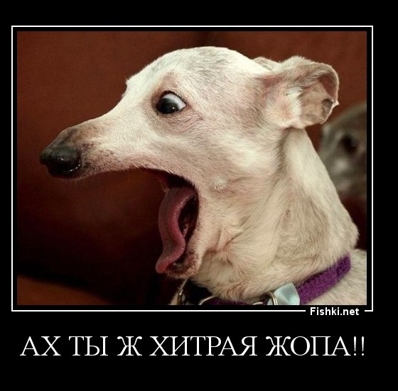 Не берут на работу т.к. не служил. Законно ли это?