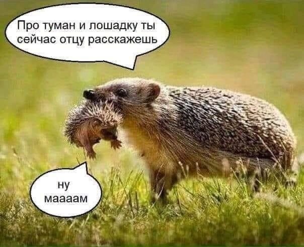 Немного картинок для настроения 15.10.19