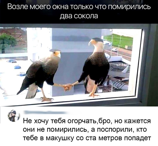 Немного картинок для настроения 19.10.19