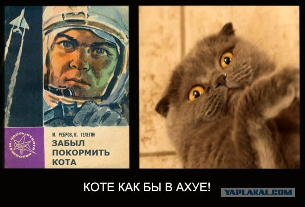 Хочу космонавта!