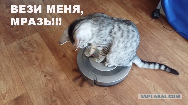 Бредзона 19.02.2020