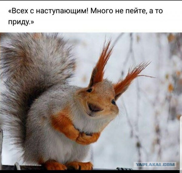 Прикольные и просто красивые картинки 05.09.2020
