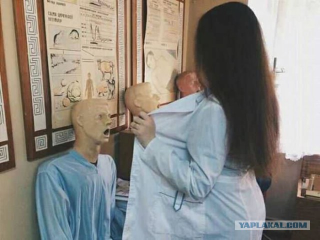 Чепухень на каждый день