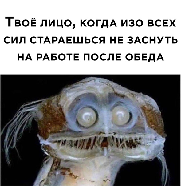 Картинки и мемы для настроения 009
