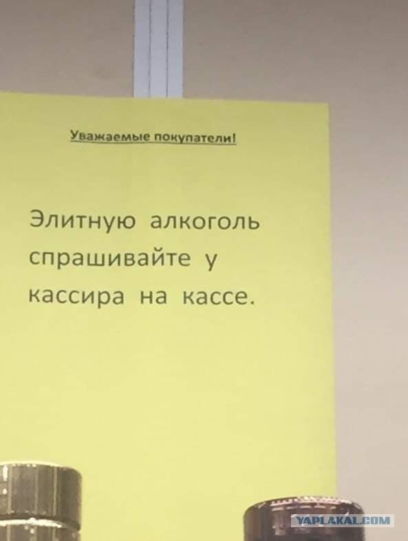 Свинегрет: картинки, надписи и прочее на 08.01.21 или №29