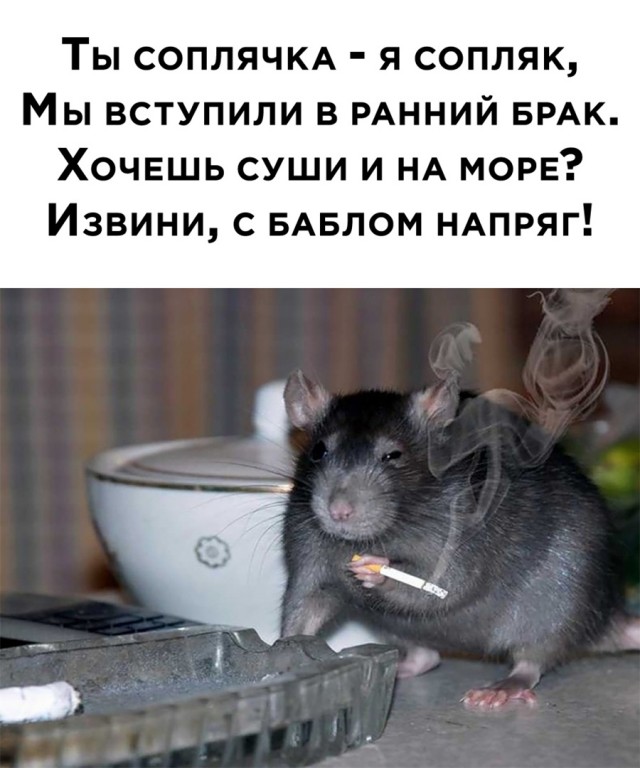 Картинки разные 26.01.2021