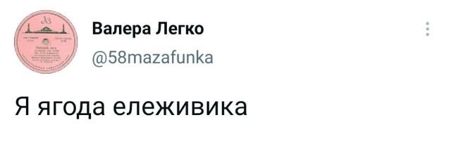 Насохранял