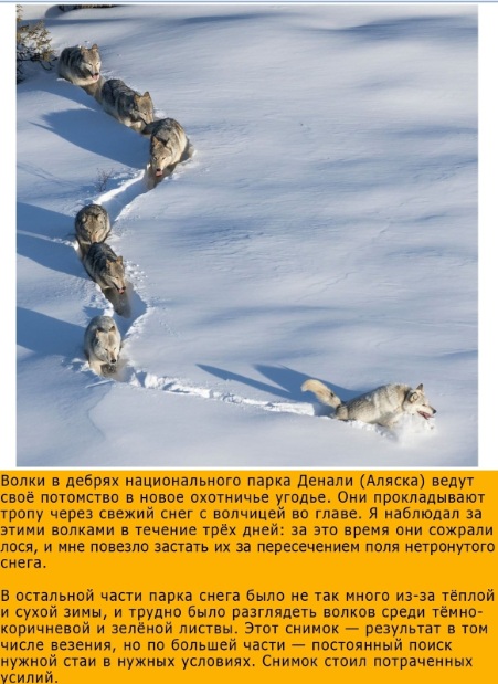 Картинки на вчера