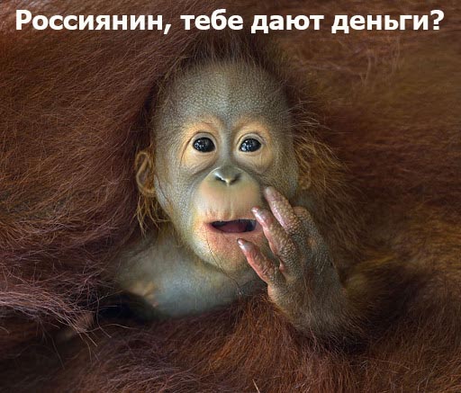 Ходорковский сравнил зарплаты в России и Гаити