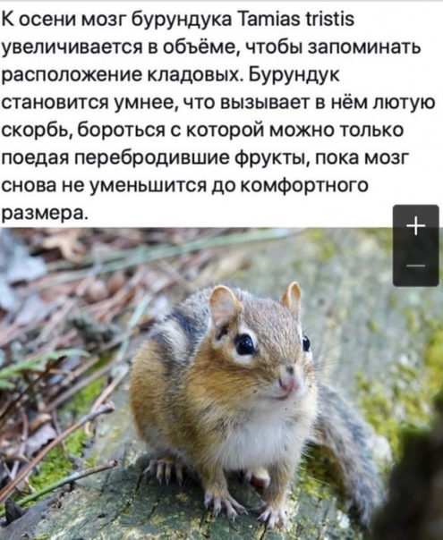 Картинки и мемы, всем прекрасных выходных