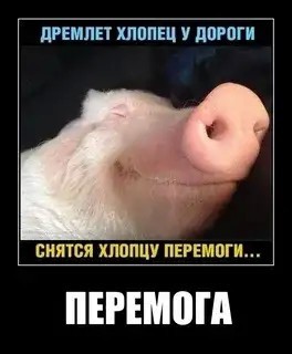 Группировка ВС РФ под Харьковом