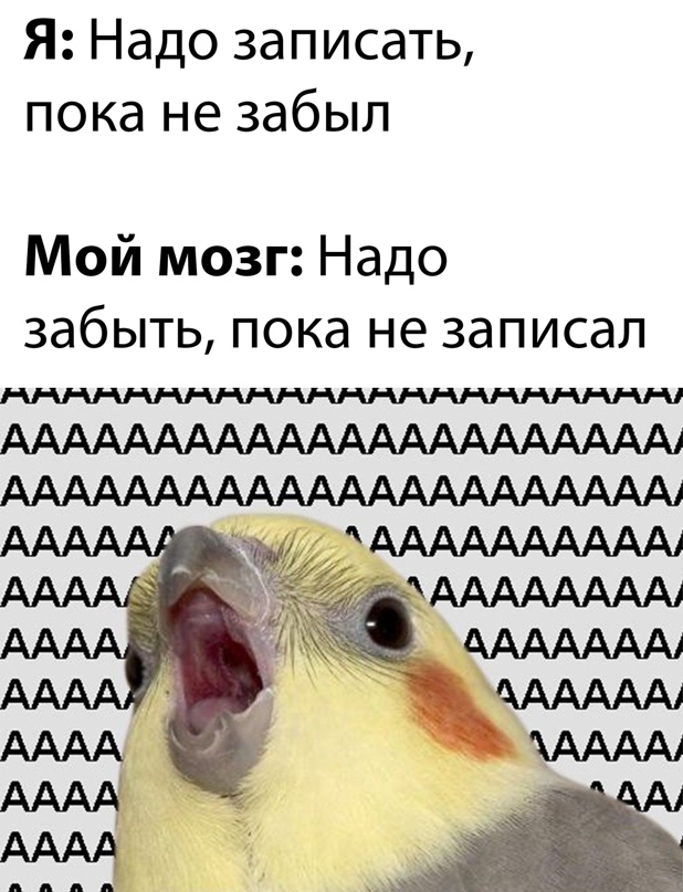 Весёлый полтишок 06.04.22