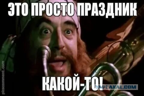 В Таиланде правительство разрешит выращивать каннабис дома, а также бесплатно раздаст 1 миллион кустов конопли для выращивания