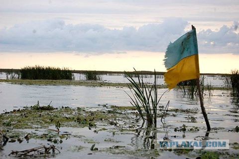 Украинские «мстители» готовы спасать мир