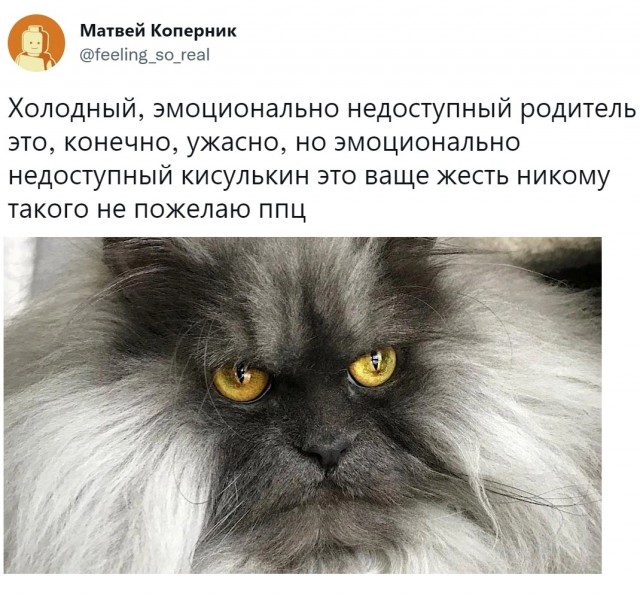 Так себе картинки 01.10.22