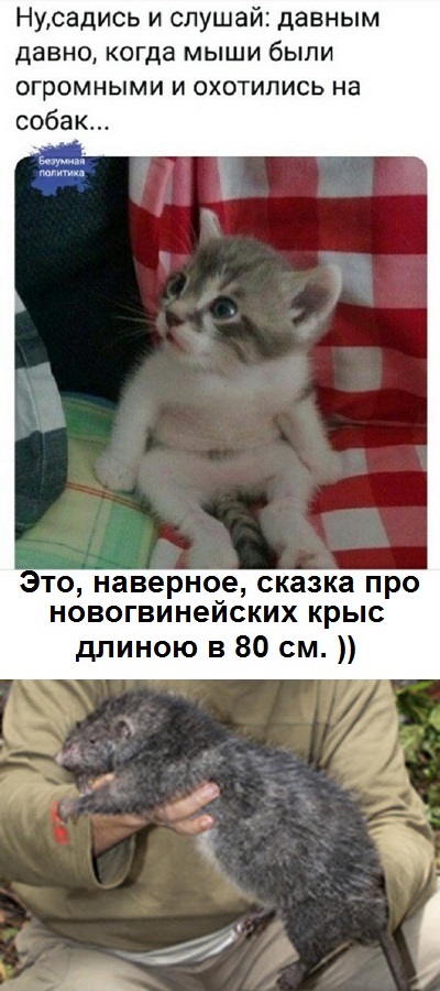 Немного картинок для настроения - 114