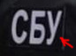 Даже котик под подозрением