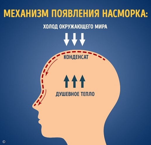 Прикольные баяны